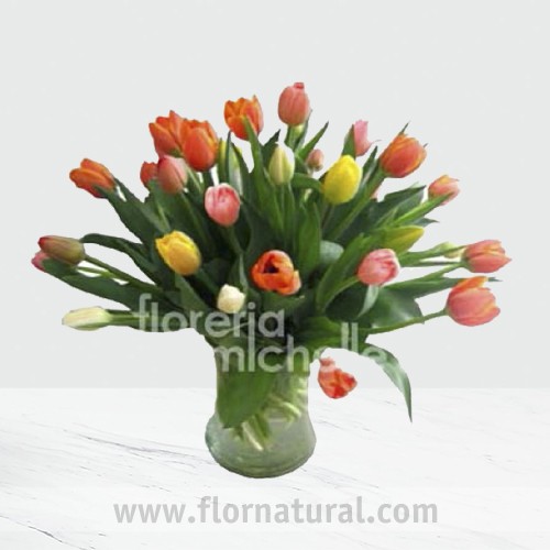 30 Tulipanes