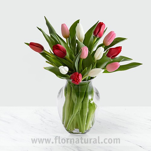 Florero con 10 Tulipanes
