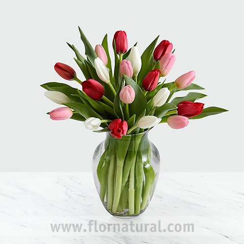 Florero con 20 Tulipanes