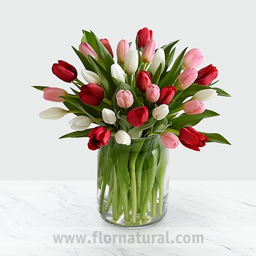 Florero con 30 Tulipanes
