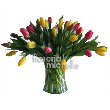 40 Tulipanes