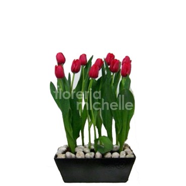 Jardinera 10 tulipanes